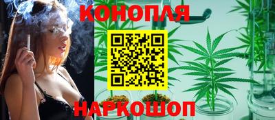 мдпв Рыбинск