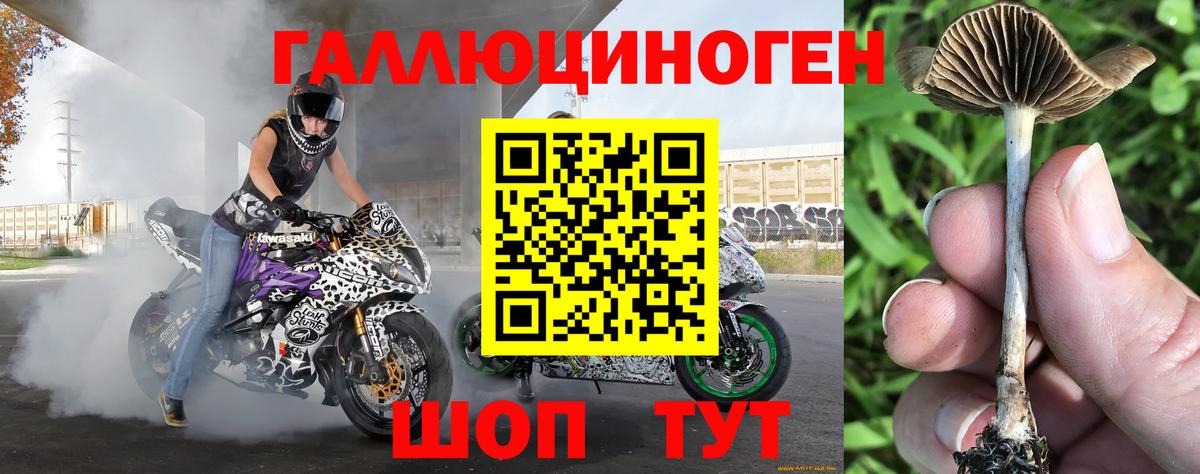 Вязники  Псилоцибиновые грибы Magic Shrooms  Вход с VPN 